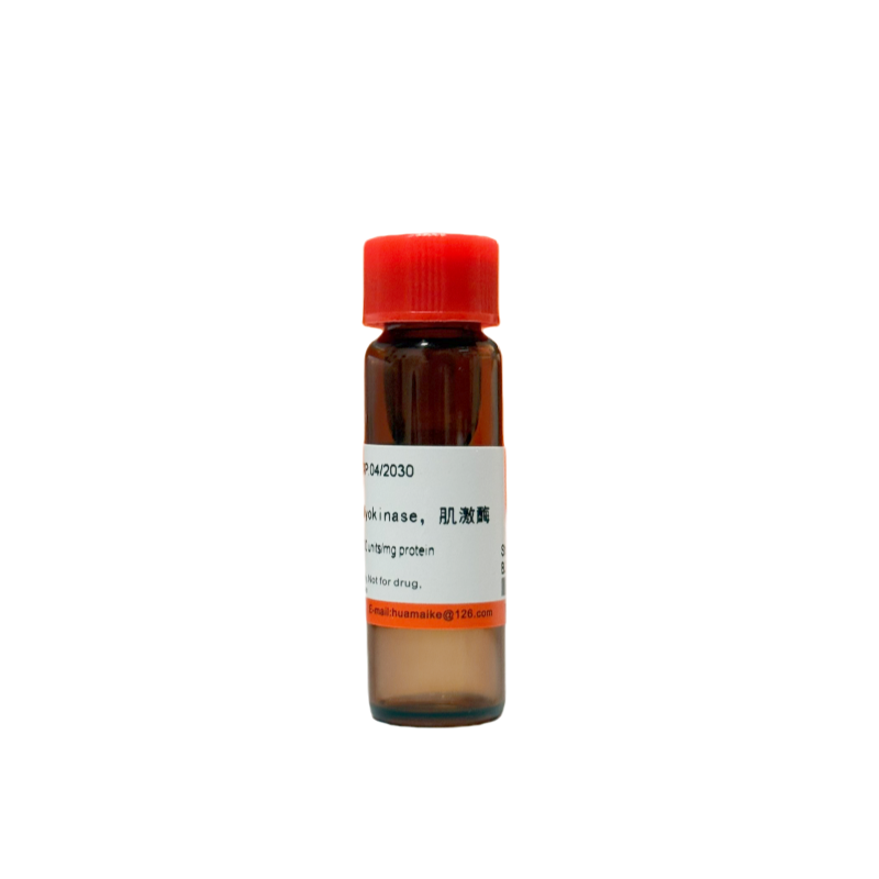 肌激酶（酶活，≥100 u/mg）